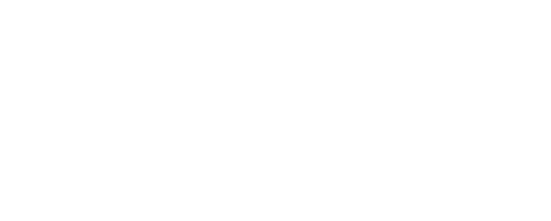 Datamaxi